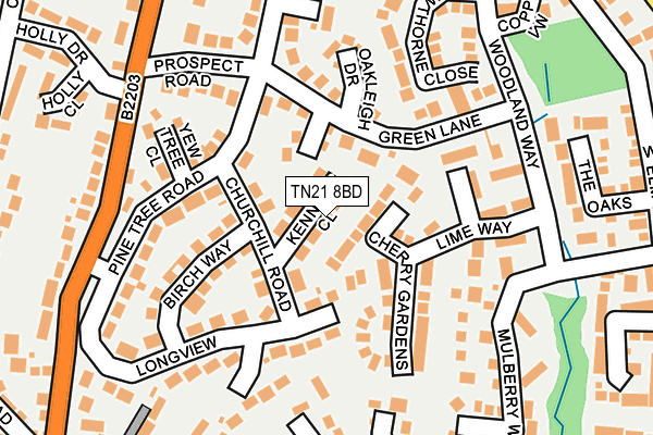 TN21 8BD map - OS OpenMap – Local (Ordnance Survey)