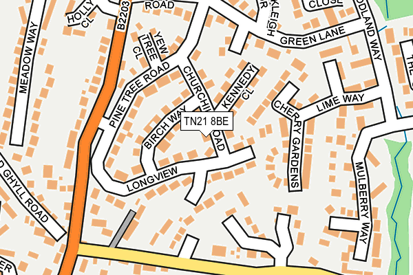 TN21 8BE map - OS OpenMap – Local (Ordnance Survey)