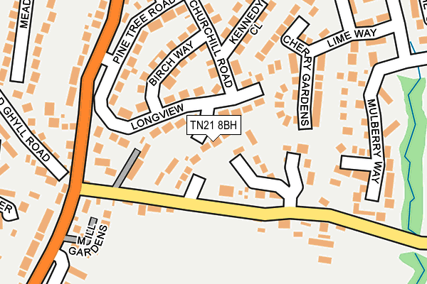 TN21 8BH map - OS OpenMap – Local (Ordnance Survey)