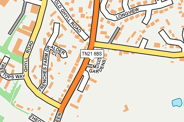 TN21 8BS map - OS OpenMap – Local (Ordnance Survey)