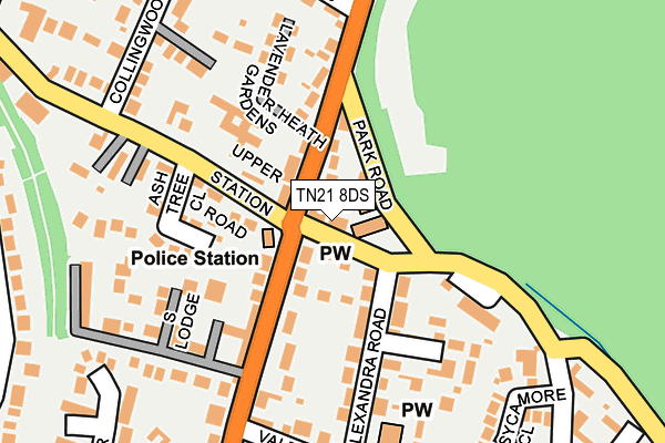 TN21 8DS map - OS OpenMap – Local (Ordnance Survey)