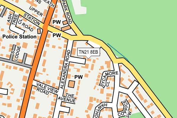TN21 8EB map - OS OpenMap – Local (Ordnance Survey)
