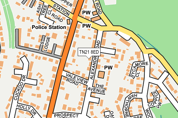 TN21 8ED map - OS OpenMap – Local (Ordnance Survey)