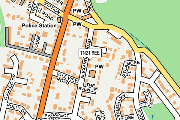 TN21 8EE map - OS OpenMap – Local (Ordnance Survey)