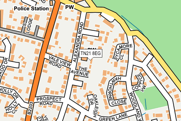 TN21 8EG map - OS OpenMap – Local (Ordnance Survey)