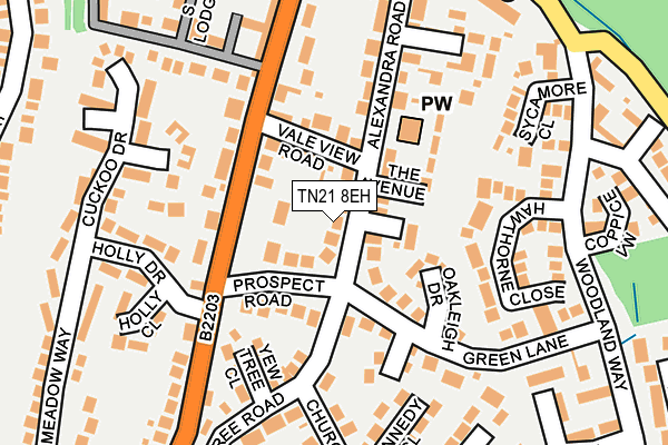 TN21 8EH map - OS OpenMap – Local (Ordnance Survey)