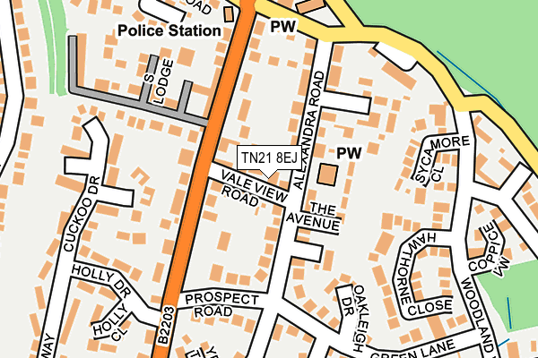 TN21 8EJ map - OS OpenMap – Local (Ordnance Survey)