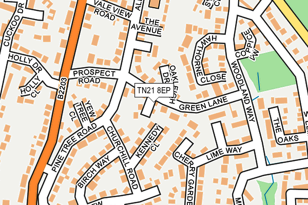 TN21 8EP map - OS OpenMap – Local (Ordnance Survey)