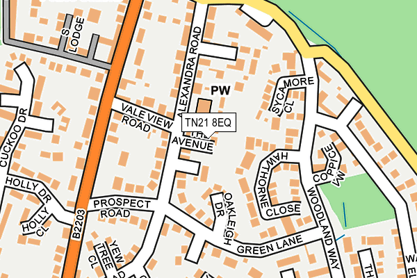 TN21 8EQ map - OS OpenMap – Local (Ordnance Survey)