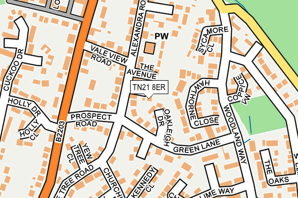 TN21 8ER map - OS OpenMap – Local (Ordnance Survey)