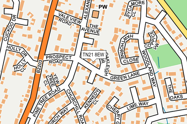 TN21 8EW map - OS OpenMap – Local (Ordnance Survey)