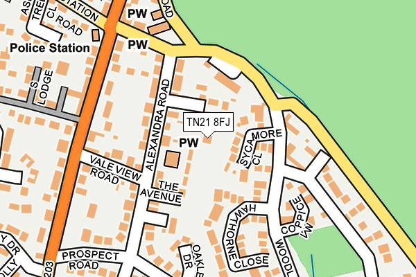 TN21 8FJ map - OS OpenMap – Local (Ordnance Survey)