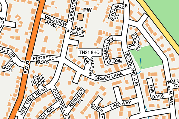 TN21 8HQ map - OS OpenMap – Local (Ordnance Survey)