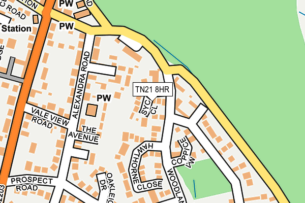 TN21 8HR map - OS OpenMap – Local (Ordnance Survey)