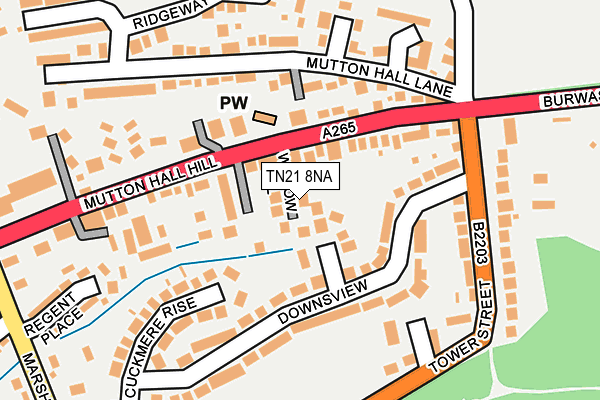 TN21 8NA map - OS OpenMap – Local (Ordnance Survey)