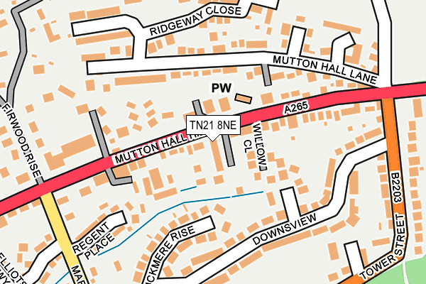 TN21 8NE map - OS OpenMap – Local (Ordnance Survey)