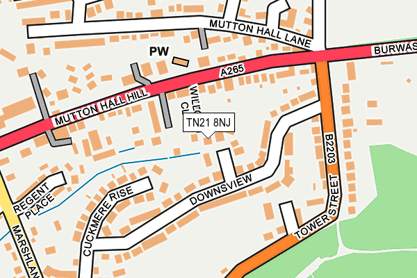 TN21 8NJ map - OS OpenMap – Local (Ordnance Survey)