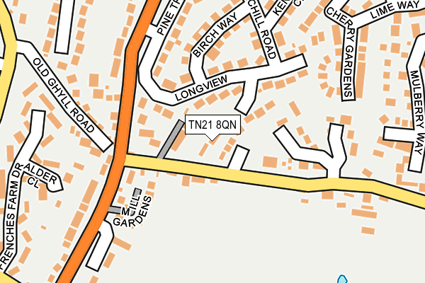 TN21 8QN map - OS OpenMap – Local (Ordnance Survey)
