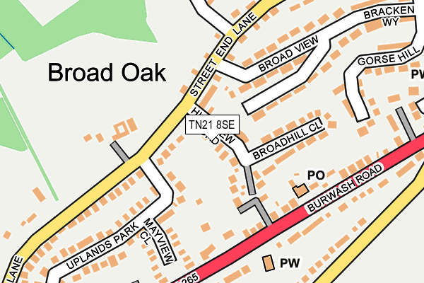 TN21 8SE map - OS OpenMap – Local (Ordnance Survey)