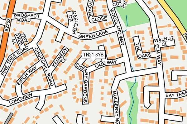 TN21 8YB map - OS OpenMap – Local (Ordnance Survey)