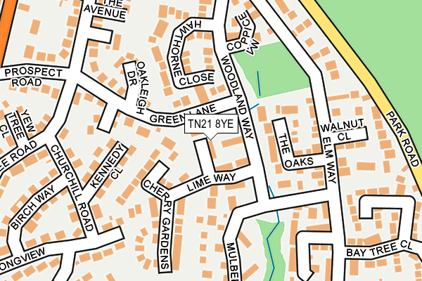 TN21 8YE map - OS OpenMap – Local (Ordnance Survey)