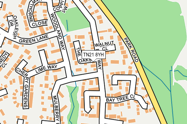 TN21 8YH map - OS OpenMap – Local (Ordnance Survey)