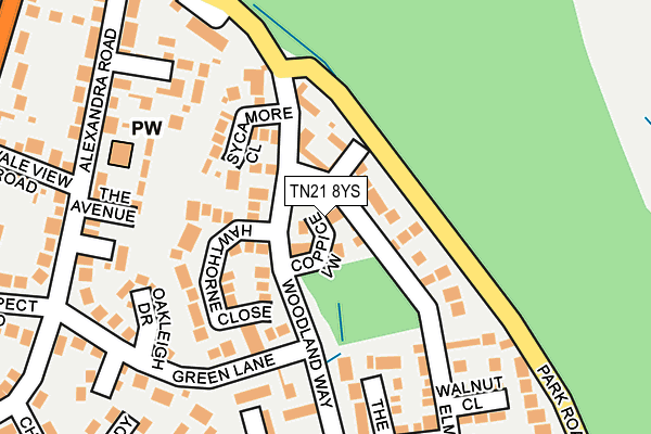 TN21 8YS map - OS OpenMap – Local (Ordnance Survey)
