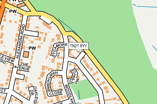 TN21 8YY map - OS OpenMap – Local (Ordnance Survey)