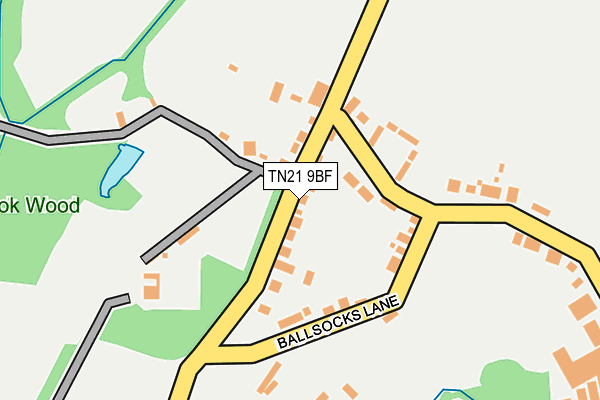 TN21 9BF map - OS OpenMap – Local (Ordnance Survey)