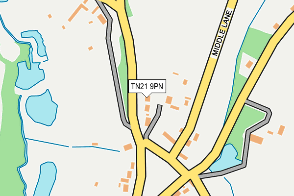 TN21 9PN map - OS OpenMap – Local (Ordnance Survey)