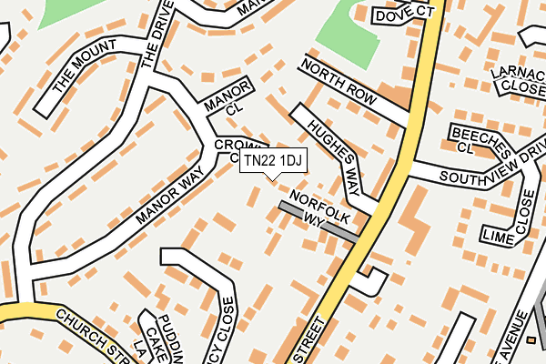 TN22 1DJ map - OS OpenMap – Local (Ordnance Survey)