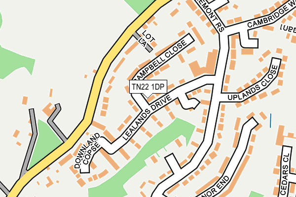 TN22 1DP map - OS OpenMap – Local (Ordnance Survey)