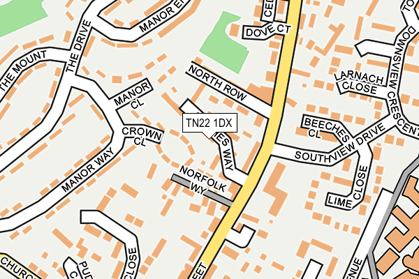 TN22 1DX map - OS OpenMap – Local (Ordnance Survey)