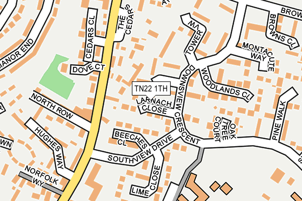 TN22 1TH map - OS OpenMap – Local (Ordnance Survey)