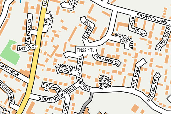 TN22 1TJ map - OS OpenMap – Local (Ordnance Survey)