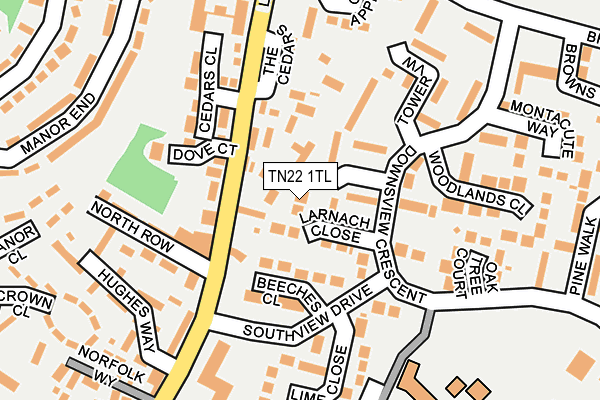 TN22 1TL map - OS OpenMap – Local (Ordnance Survey)
