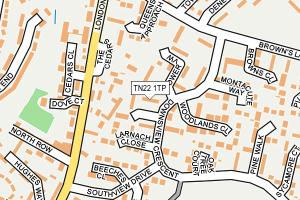 TN22 1TP map - OS OpenMap – Local (Ordnance Survey)