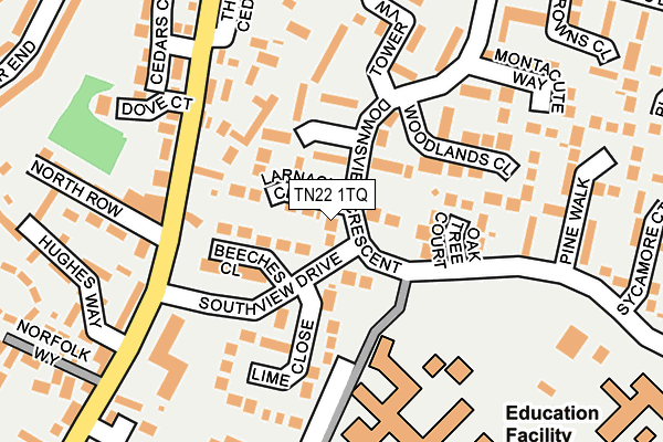 TN22 1TQ map - OS OpenMap – Local (Ordnance Survey)