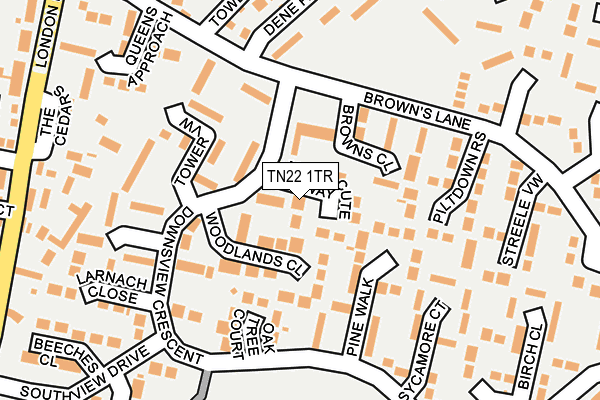 TN22 1TR map - OS OpenMap – Local (Ordnance Survey)