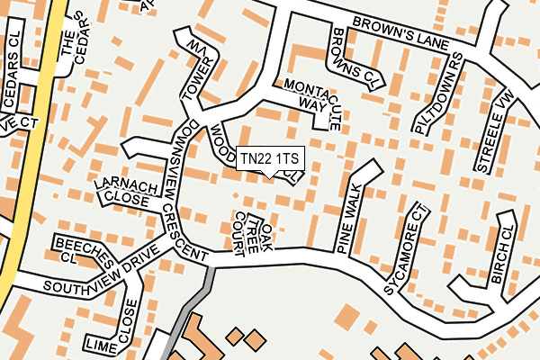 TN22 1TS map - OS OpenMap – Local (Ordnance Survey)