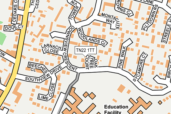 TN22 1TT map - OS OpenMap – Local (Ordnance Survey)