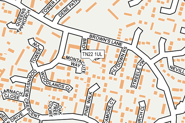 TN22 1UL map - OS OpenMap – Local (Ordnance Survey)