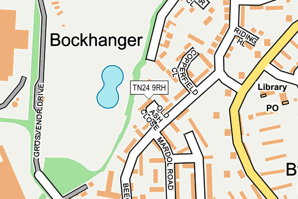 TN24 9RH map - OS OpenMap – Local (Ordnance Survey)
