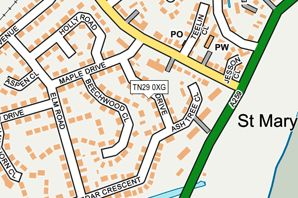 TN29 0XG map - OS OpenMap – Local (Ordnance Survey)
