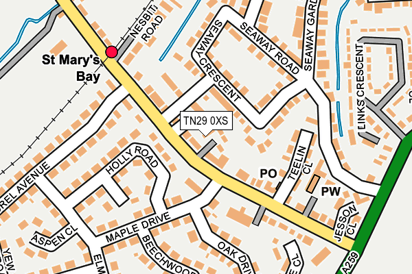 TN29 0XS map - OS OpenMap – Local (Ordnance Survey)