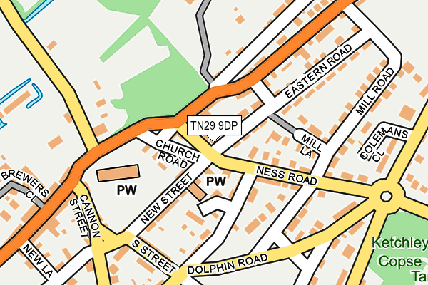 TN29 9DP map - OS OpenMap – Local (Ordnance Survey)