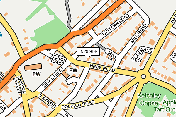 TN29 9DR map - OS OpenMap – Local (Ordnance Survey)