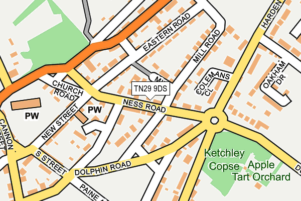 TN29 9DS map - OS OpenMap – Local (Ordnance Survey)