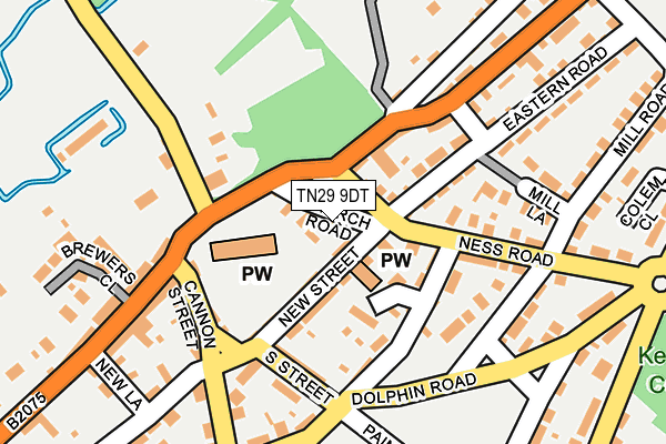 TN29 9DT map - OS OpenMap – Local (Ordnance Survey)