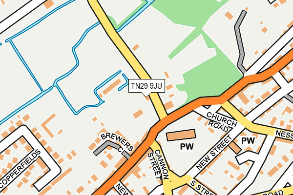 TN29 9JU map - OS OpenMap – Local (Ordnance Survey)